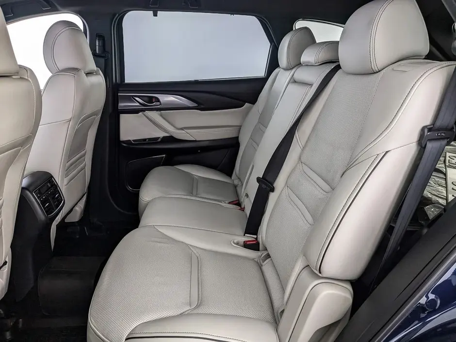 Mazda CX-9, 2020 г.